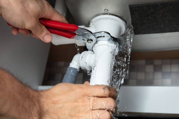 Best Local water damage restoration  in Pittsfield, IL