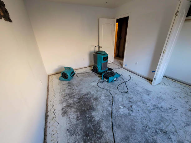 Best Fire Damage Restoration  in Pittsfield, IL