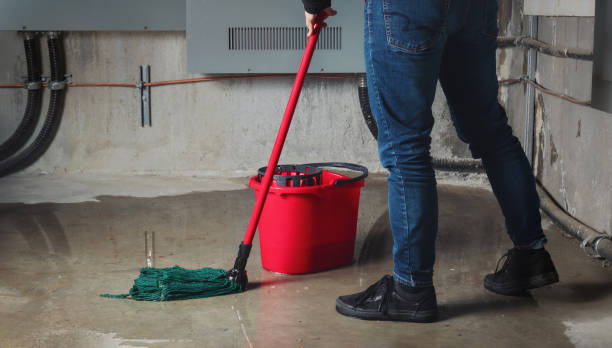 Professional Water damage restoration in Pittsfield, IL