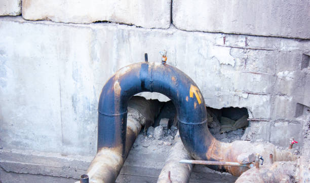 Best Water damage cleanup near me  in Pittsfield, IL
